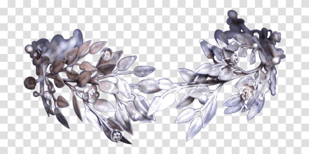 Silver Crown, Plant, Flower, Blossom, Accessories Transparent Png