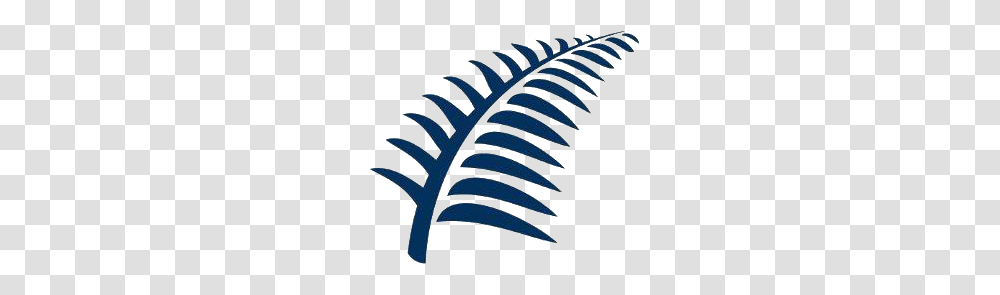 Silver Fern On Twitter You Can Think Of Methylation As Dust, Plant Transparent Png