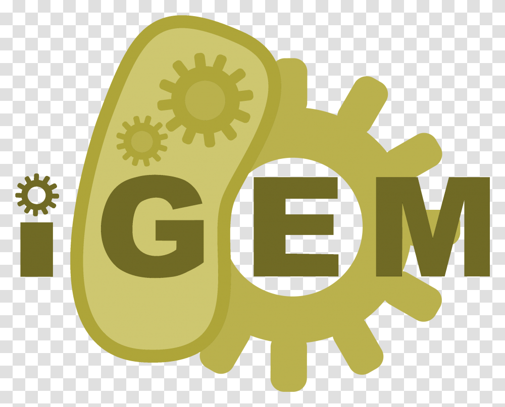 Silver Medal Gold Shield International Genetically Engineered Machine, Number, Symbol, Text, Key Transparent Png