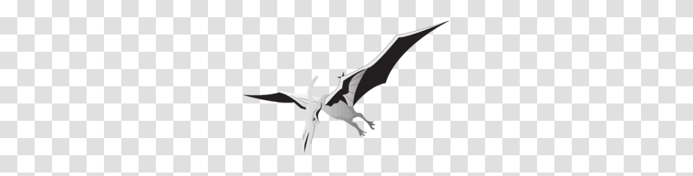 Silver Pterodactyl Clip Art, Flying, Bird, Animal, Wildlife Transparent Png