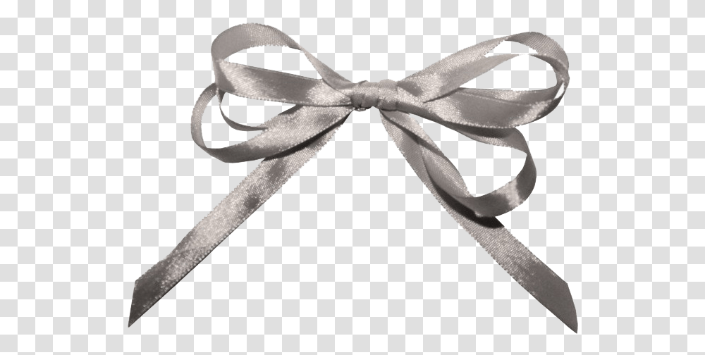 Silver Ribbon Play Silver Ribbon, Tie, Accessories, Accessory, Bird Transparent Png