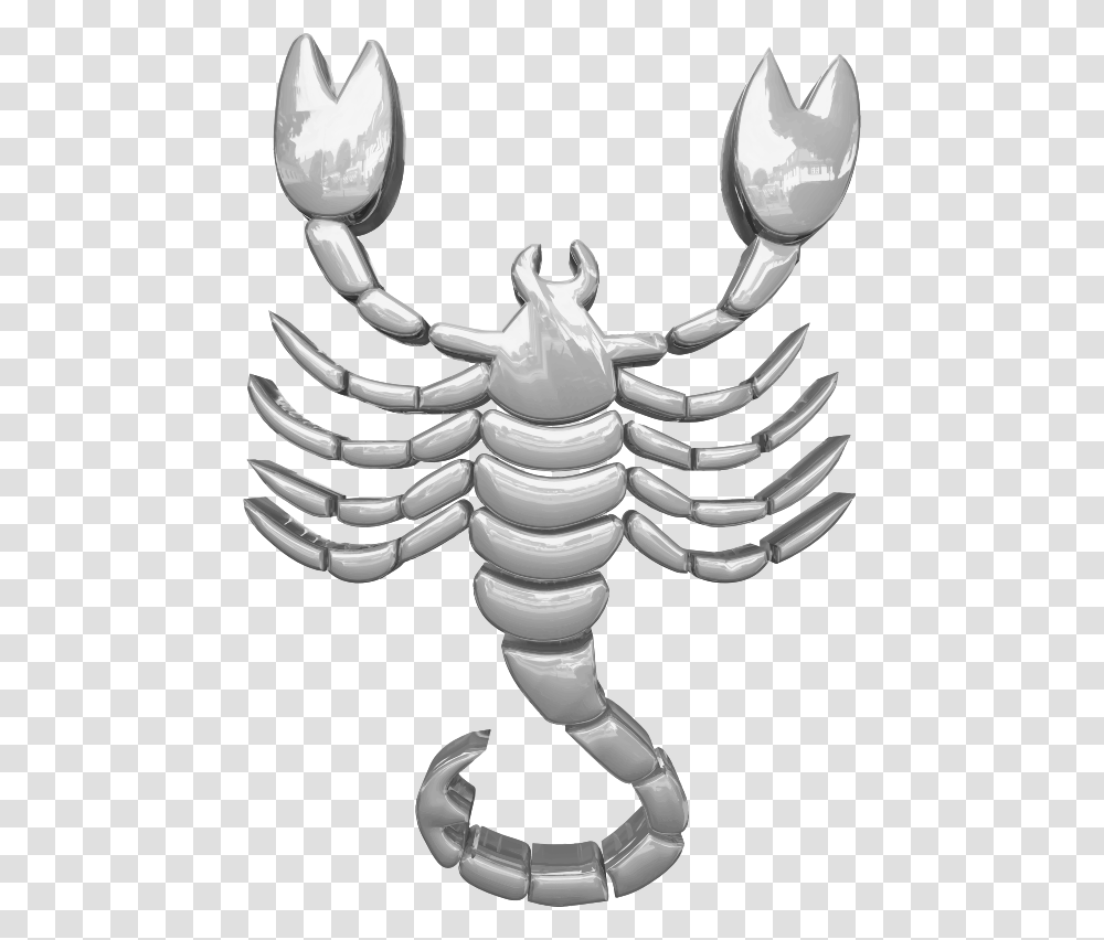 Silver Scorpio Background Scorpion, Skeleton Transparent Png