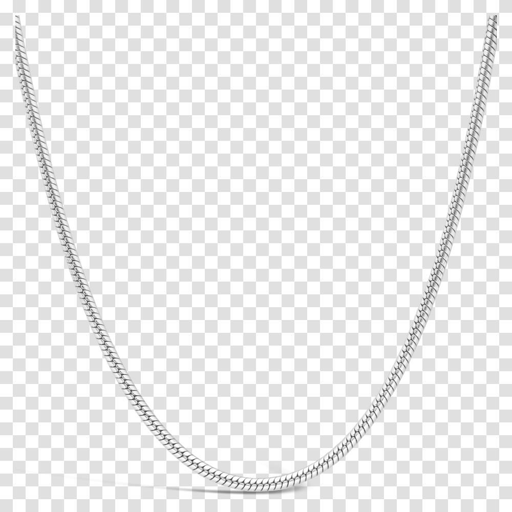 Silver Snake Link Chain, Necklace, Jewelry, Accessories, Accessory Transparent Png