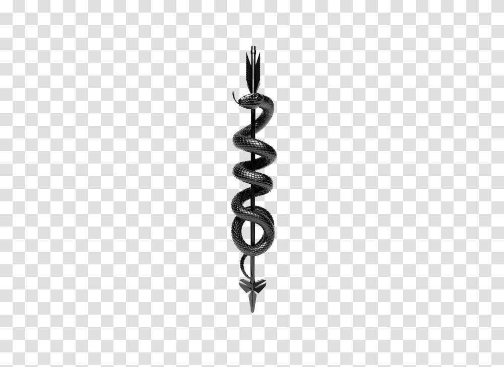 Silver Snake, Spiral, Coil, Rotor, Machine Transparent Png