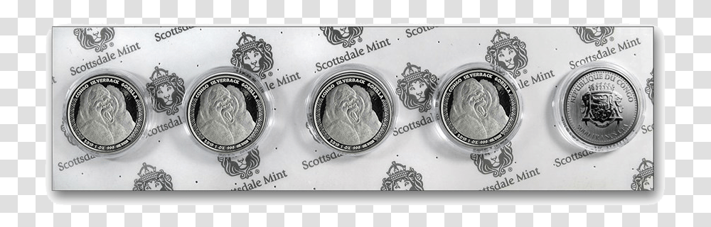 Silverback Gorilla, Money, Coin, Nickel, Cooktop Transparent Png
