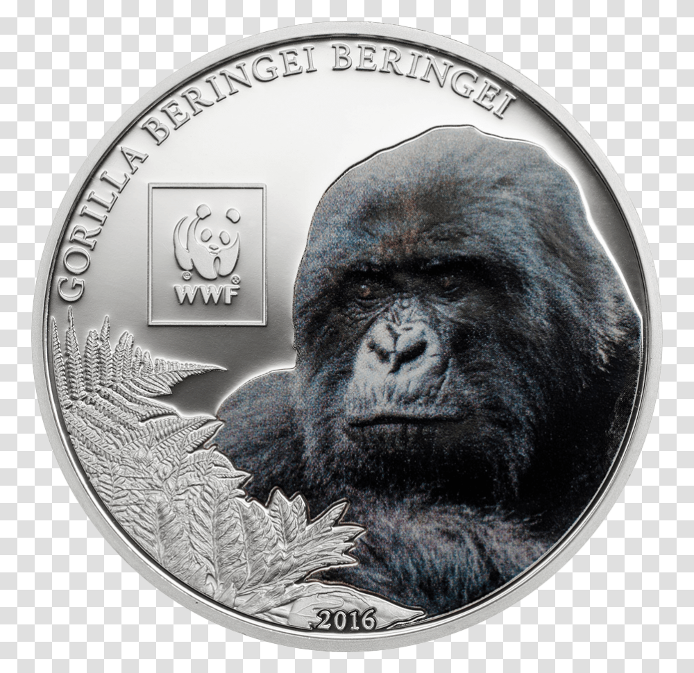 Silverback Gorilla, Money, Coin, Wildlife, Animal Transparent Png