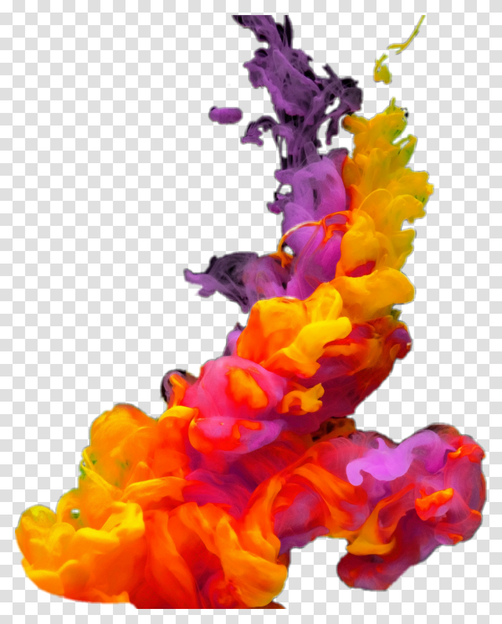 Silverstein Works Colorful Smoke Background Hd, Plant, Flower, Pollen, Purple Transparent Png