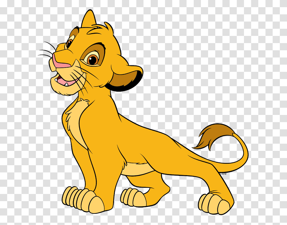 Simba, Animal, Cat, Pet, Mammal Transparent Png