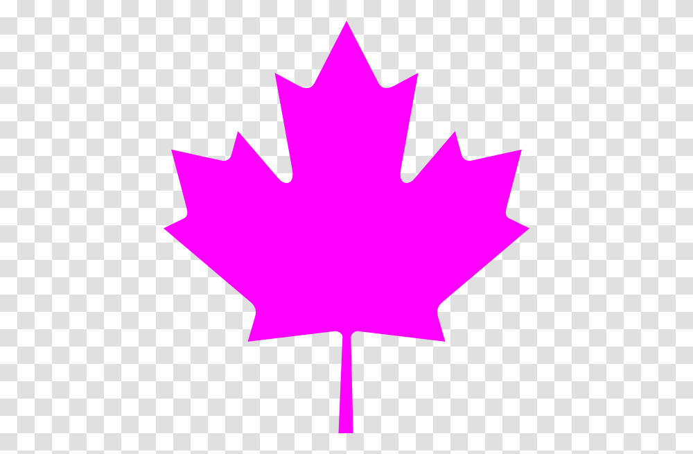 Simbolo Da Bandeira Do Canada, Leaf, Plant, Tree, Maple Leaf Transparent Png