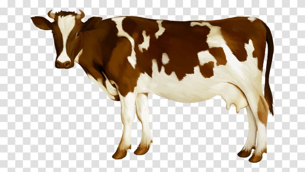 Simmental Cattle Milk Dairy Cattle Calf Dairy Cow, Mammal, Animal Transparent Png