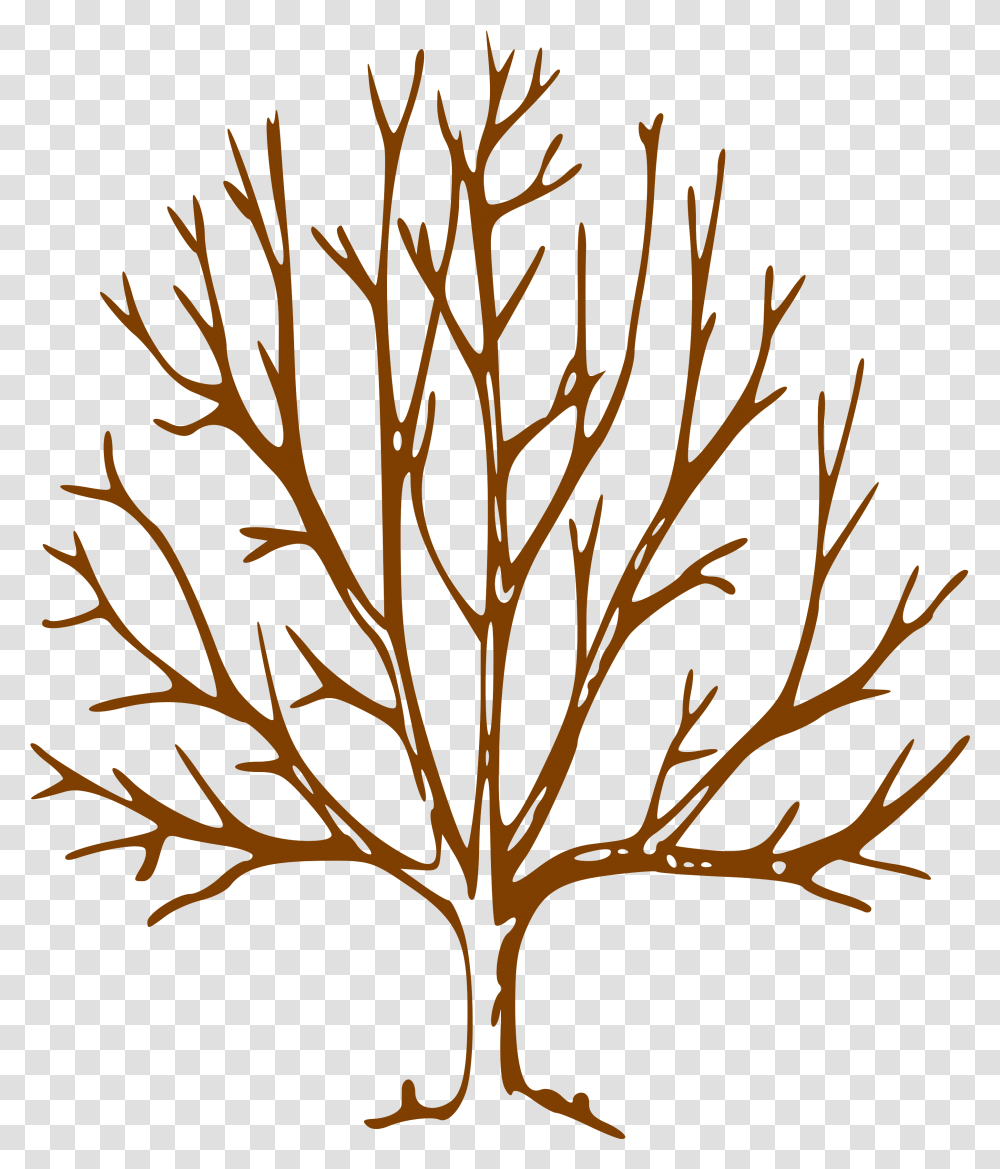Simple Bare Tree Clipart Image Info Tree With Bare Bare Tree Clipart, Nature, Outdoors, Leaf, Plant Transparent Png