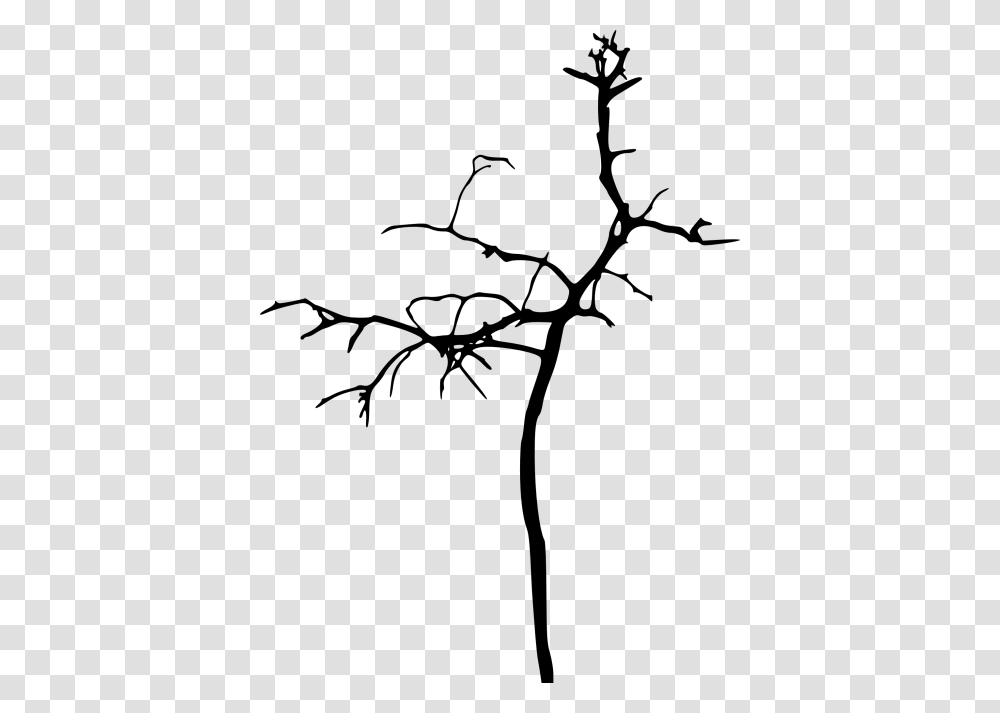 Simple Bare Tree Silhouette Bare Tree Silhouettes, Plant, Leaf, Bird, Animal Transparent Png