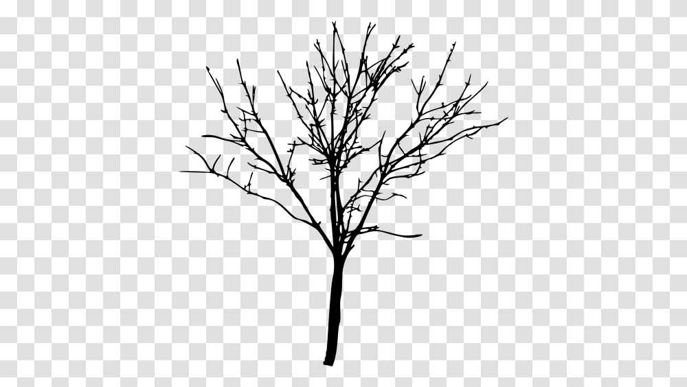Simple Bare Tree Silhouette, Plant, Green, Vegetation, Tree Trunk Transparent Png
