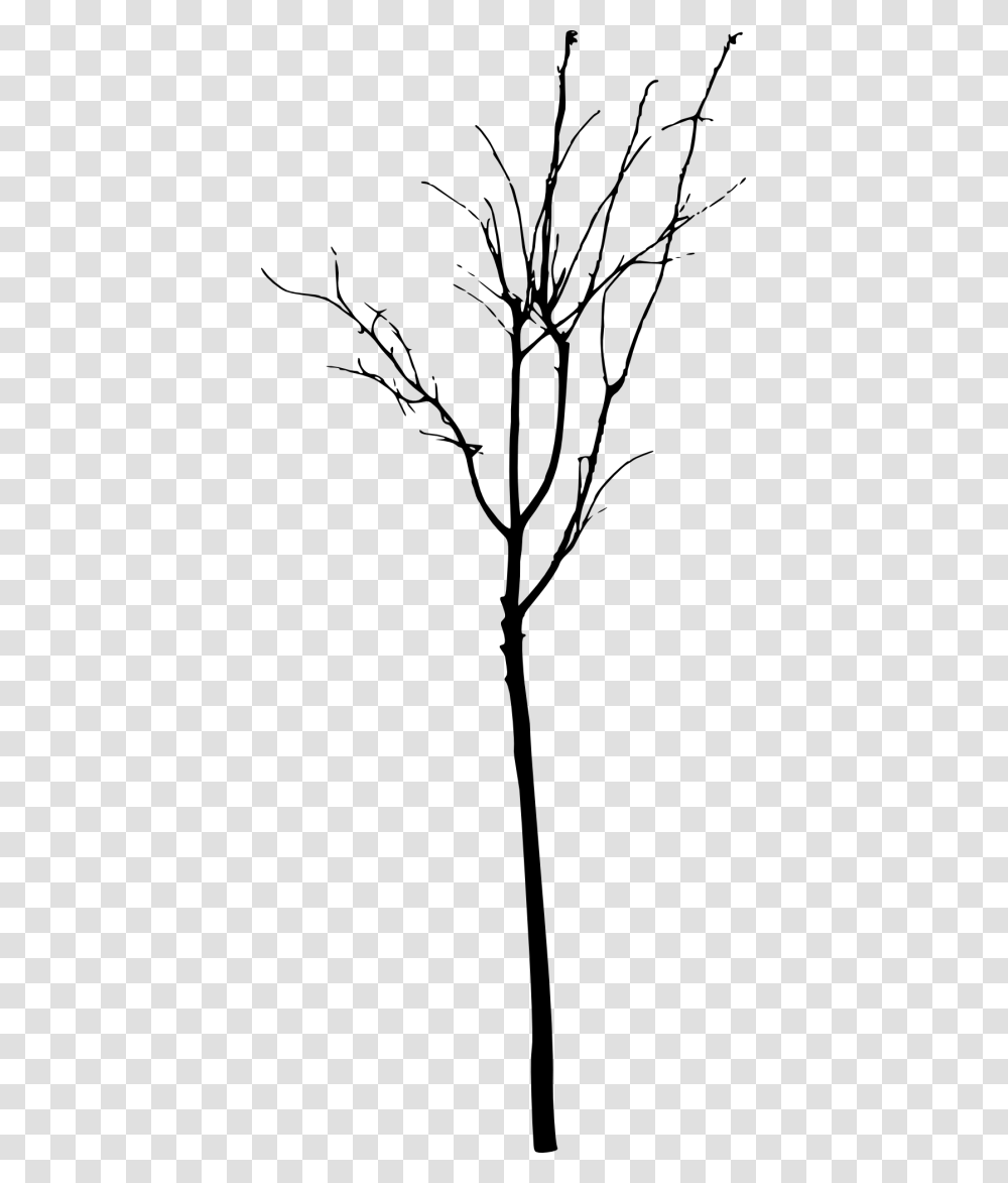 Simple Bare Tree Silhouette Twig, Gray, World Of Warcraft Transparent Png