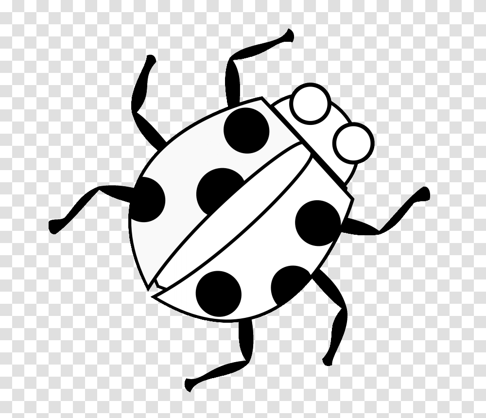 Simple Black And White Ladybug Tattoo Design, Stencil, Bomb, Weapon, Weaponry Transparent Png