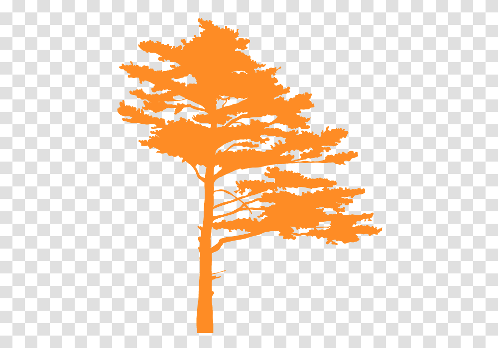 Simple Branch Silhouette With Leaves, Tree, Plant, Maple, Leaf Transparent Png