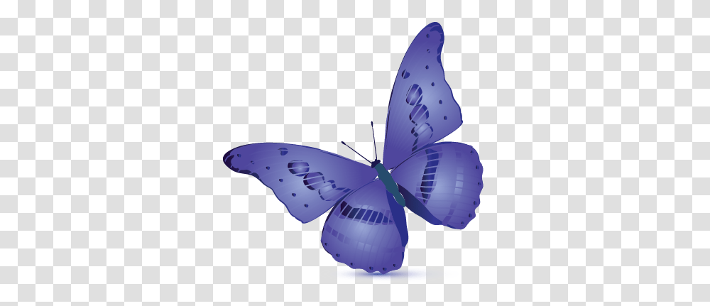 Simple Butterfly Logo Templates Holly Blue, Animal, Insect, Invertebrate, Wasp Transparent Png