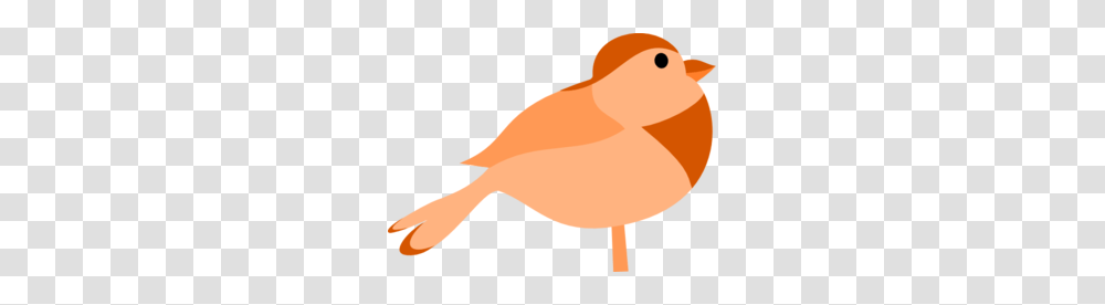 Simple Cartoon Bird Clip Art, Animal, Duck, Finch, Beak Transparent Png