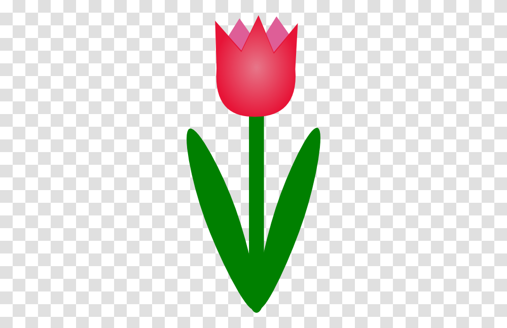 Simple Cartoon Tulip Clip Art For Web, Plant, Flower, Blossom Transparent Png