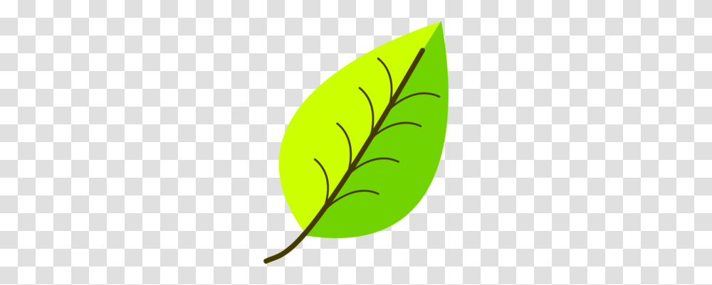 Simple Clipart, Leaf, Plant, Tennis Ball, Sport Transparent Png