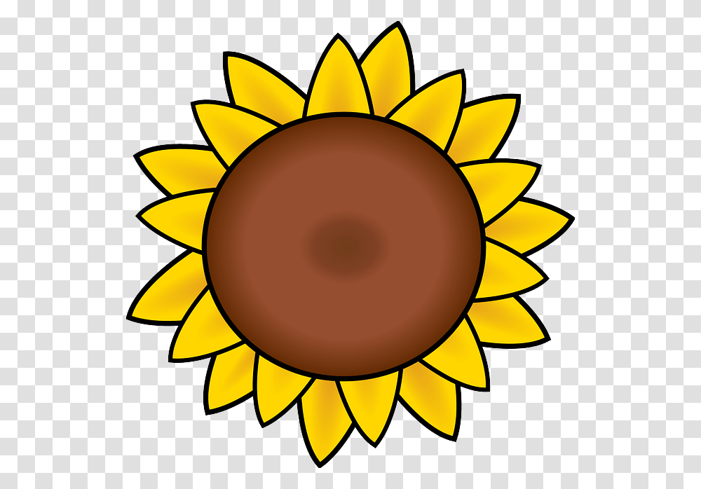 Simple Clipart Sunflower, Lamp, Plant, Blossom, Outdoors Transparent Png