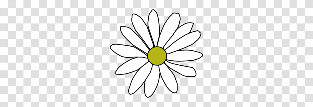 Simple Daisy Clip Art, Flower, Plant, Daisies, Blossom Transparent Png