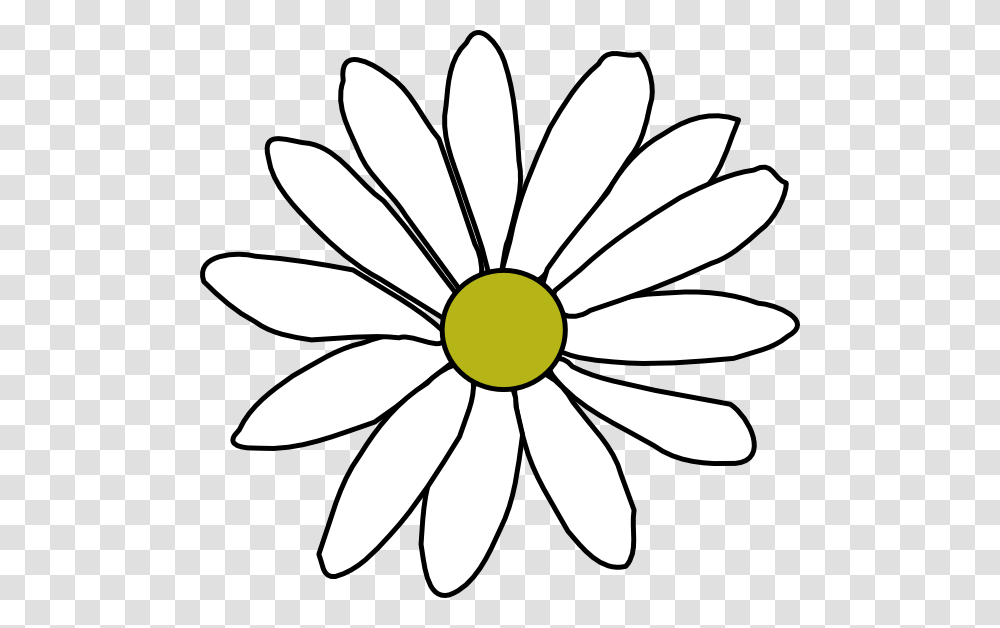 Simple Daisy Outline, Plant, Flower, Daisies, Blossom Transparent Png