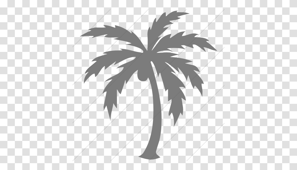 Simple Dark Gray Classica Palm Tree Icon Black Palm Tree Icon, Plant, Arecaceae, Stencil, Bird Transparent Png