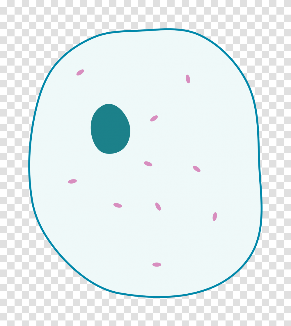 Simple Diagram Of Animal Cell, Moon, Night, Astronomy, Outdoors Transparent Png