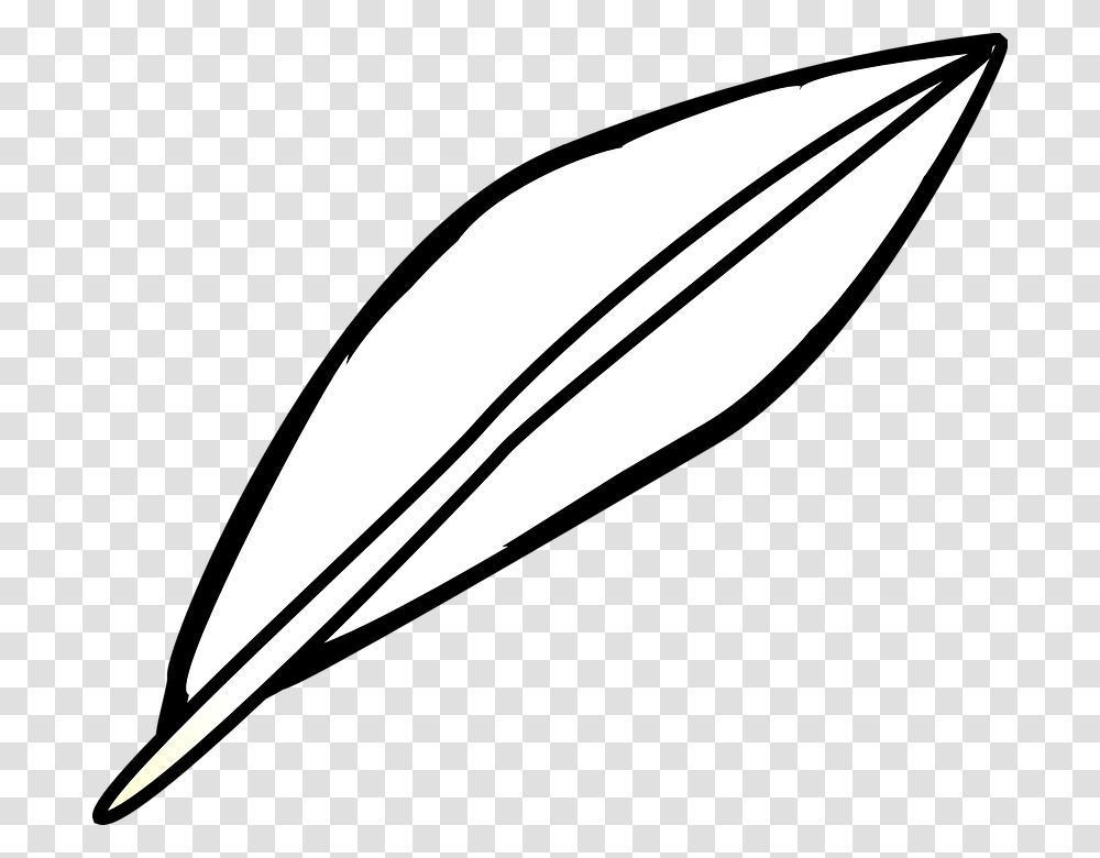 Simple Feather Clipart, Plant, Weapon, Weaponry, Flower Transparent Png