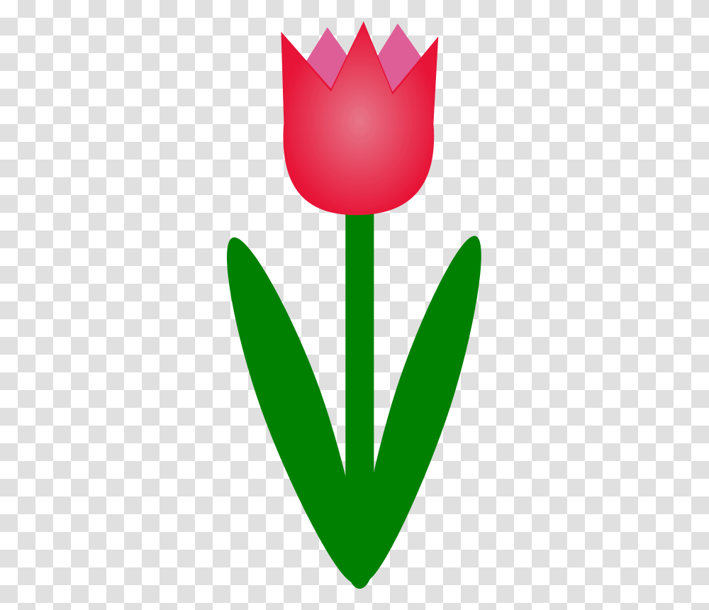Simple Flower Clip Art Look, Plant, Blossom, Tulip Transparent Png