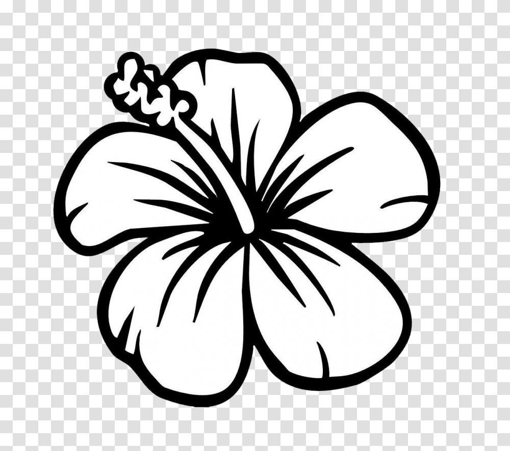 Simple Flower Clipart Black And White Hibiscus Flower Coloring Page, Plant, Blossom, Stencil, Petal Transparent Png