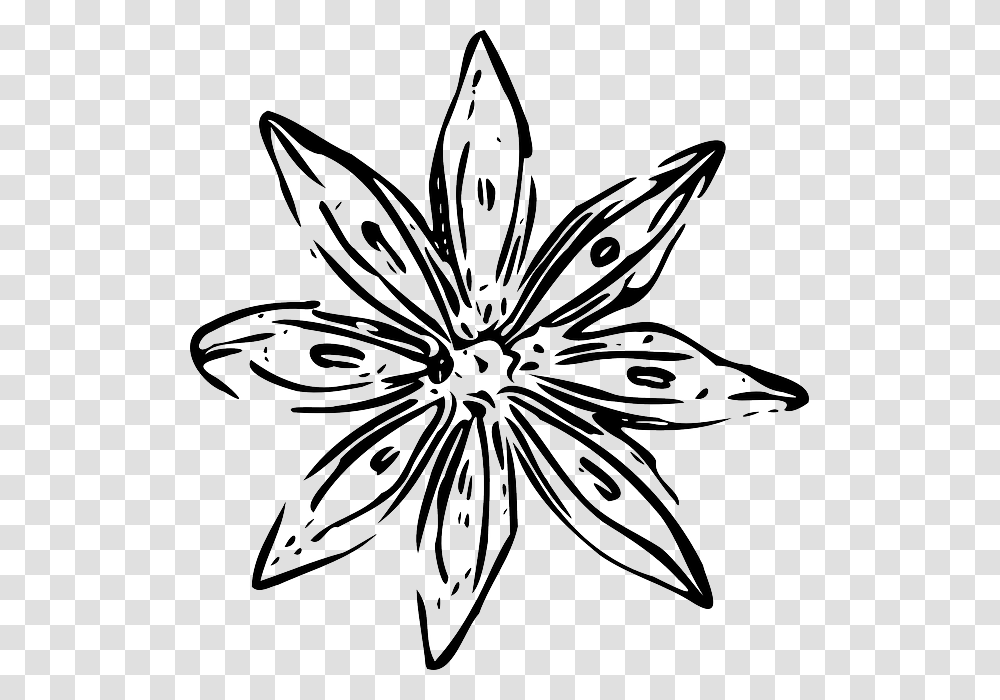 Simple Flower Designs Black And White Outline Flowers Vector, Floral Design, Pattern Transparent Png