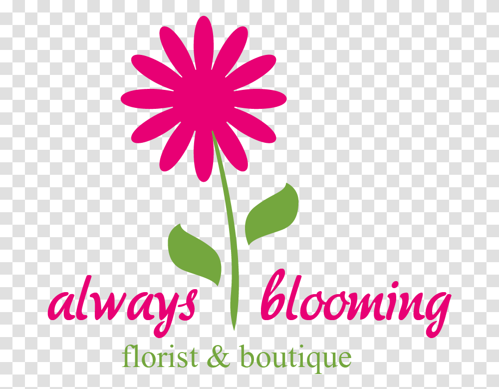 Simple Flowers Vector Download Colegio Santo Domingo Savio, Plant, Petal, Blossom, Daisy Transparent Png