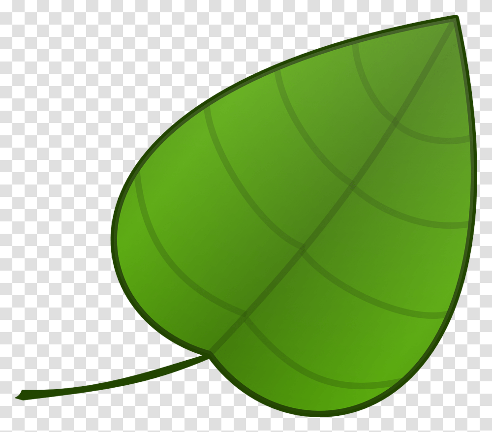 Simple Green Leaf Template, Tennis Ball, Sport, Sports, Plant Transparent Png
