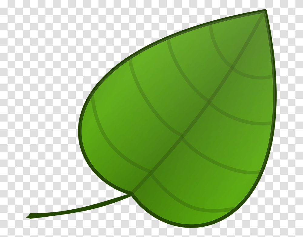 Simple Leaf Cartoon, Tennis Ball, Green, Plant, Insect Transparent Png