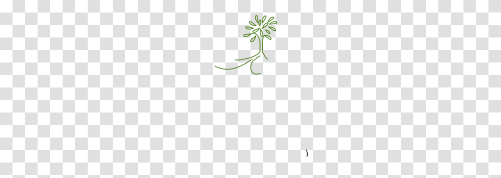 Simple Leafy Tree Green With Roots Clip Arts For Web, Plant, Flower, Vegetation Transparent Png
