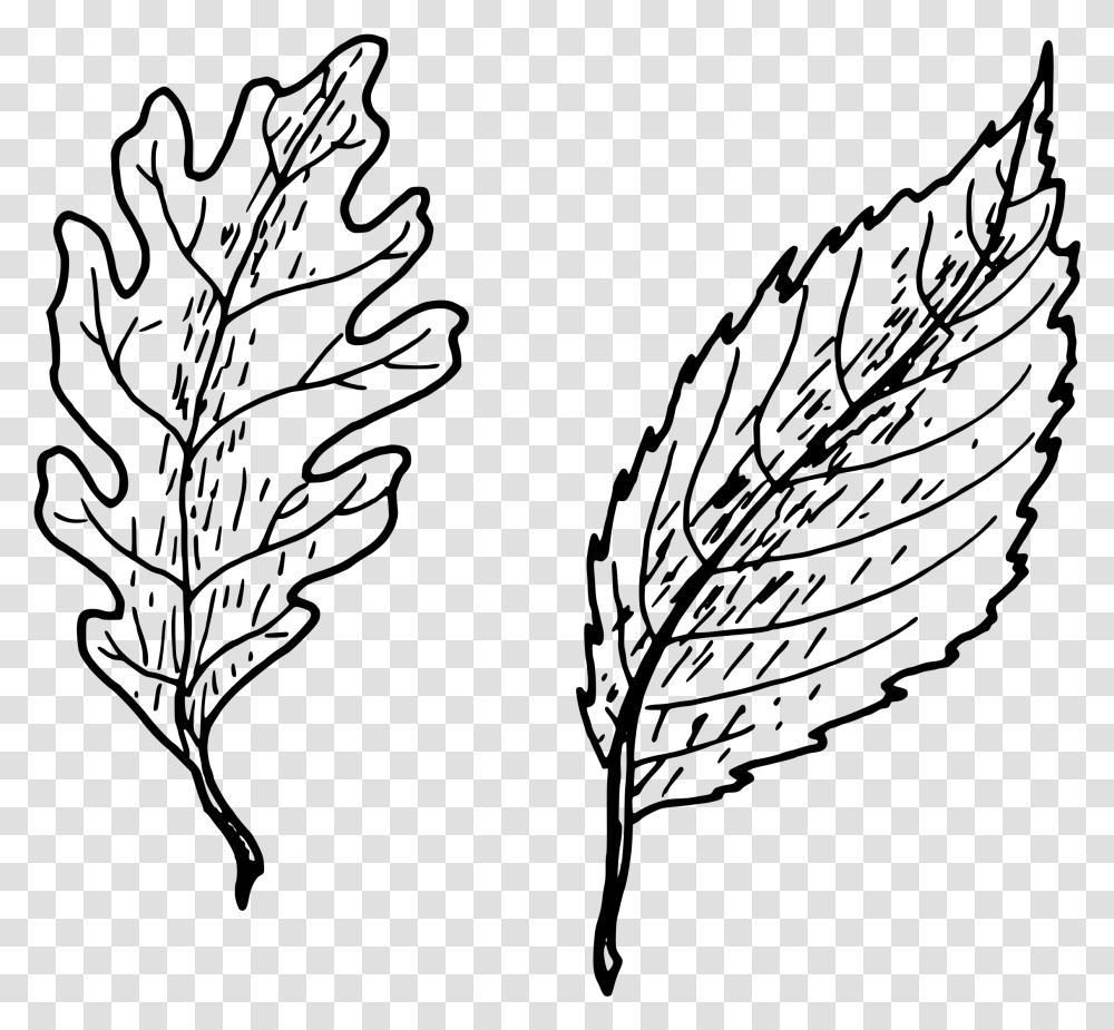 Simple Leaves Clip Arts Simple Hand Drawn Leaf Drawing, Gray, World Of Warcraft Transparent Png