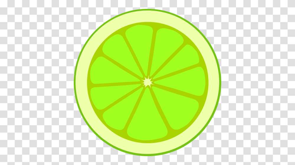 Simple Lime Section, Citrus Fruit, Plant, Food, Tennis Ball Transparent Png