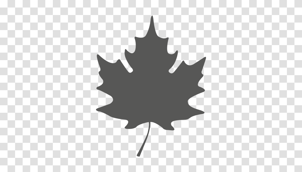 Simple Maple Leave Silhouette, Leaf, Plant, Tree, Maple Leaf Transparent Png