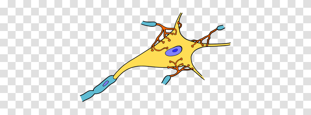 Simple Neuron Vector Drawing, Apparel, Animal, Shoe Transparent Png