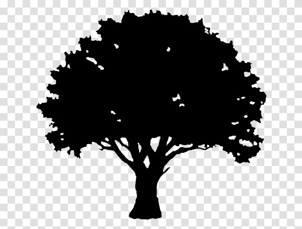 Simple Oak Tree Silhouette, Nature, Outdoors, Night, Moon Transparent Png