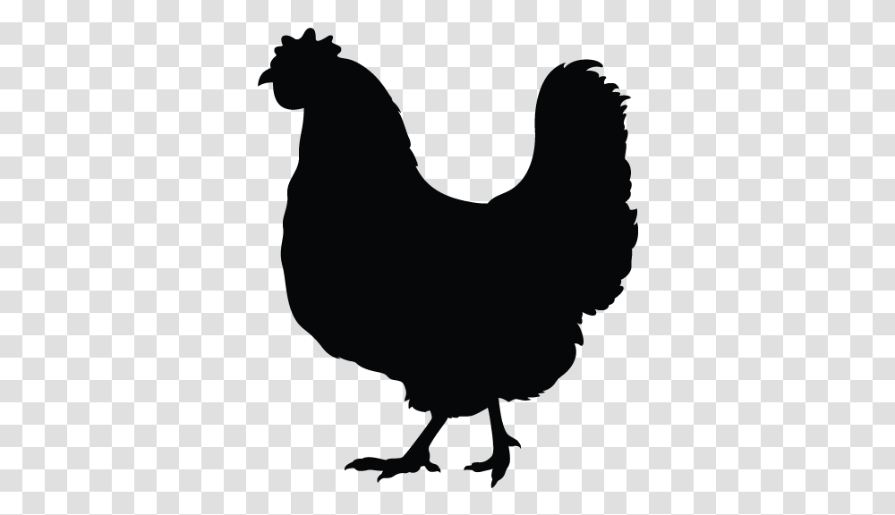 Simple Rooster Silhouette Simple Chicken Black And White Clipart, Person, Human, Animal, Stencil Transparent Png