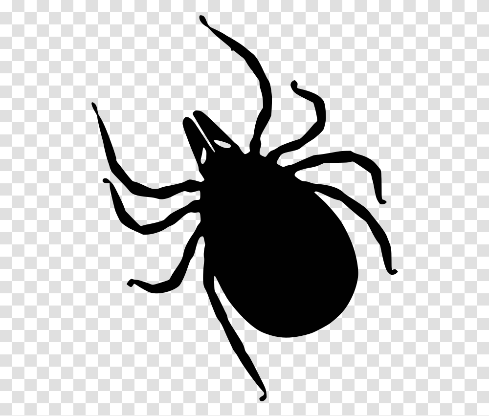 Simple Tick Silhouette Bug Tick Clipart, Face, Meal, Gray, Stage Transparent Png