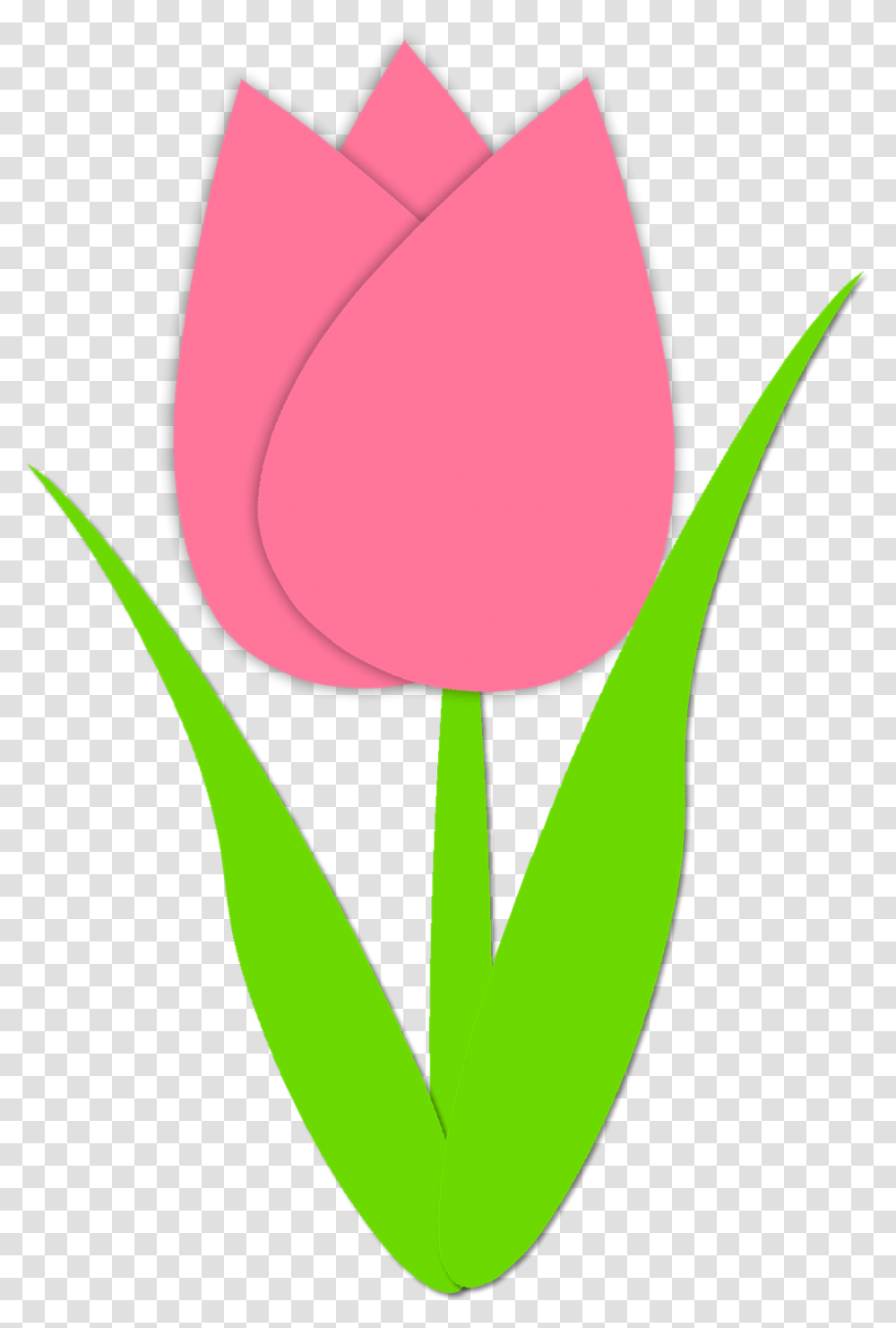 Simple Tulip Outline Simple Tulip Outline Spring Tulips, Plant, Flower, Blossom, Petal Transparent Png