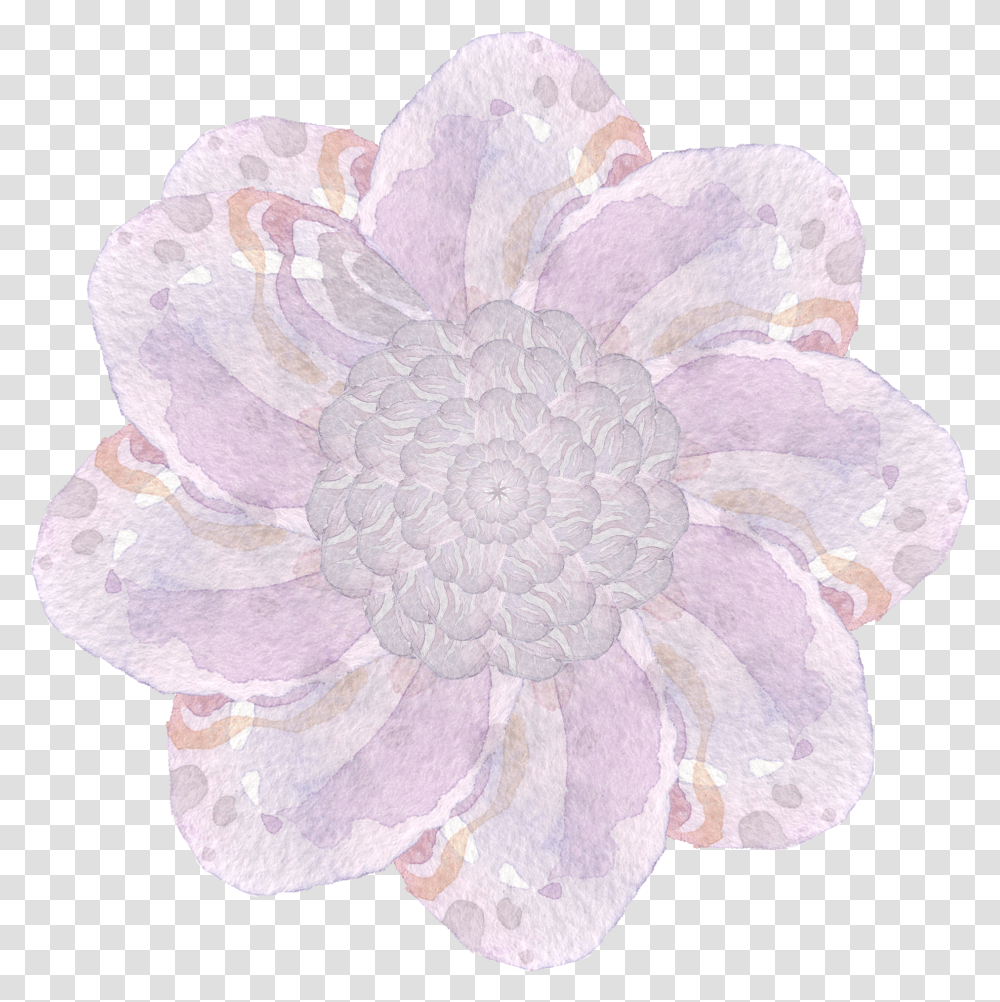 Simple Watercolor Decoration Flower Echeveria Transparent Png