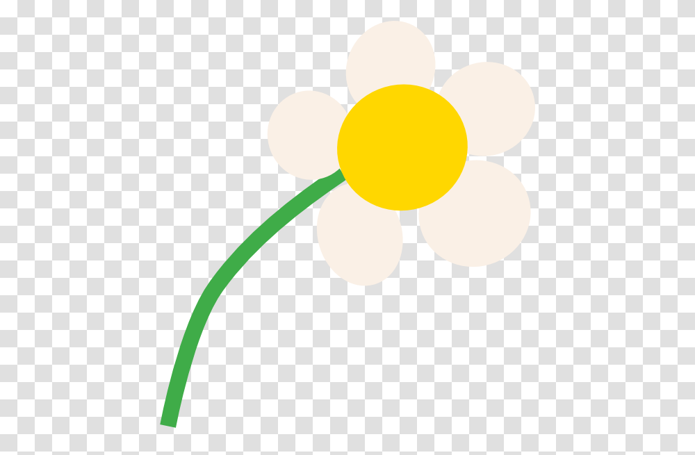Simple White Cartoon Daisy Clip Arts Download, Flower, Plant, Blossom, Balloon Transparent Png