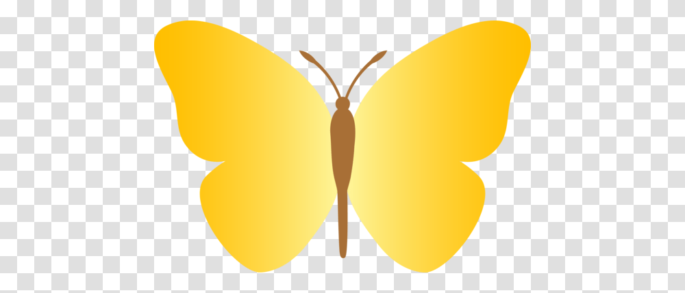 Simple Yellow Butterfly Clipart Clip Art Images, Balloon, Plant, Food, Produce Transparent Png