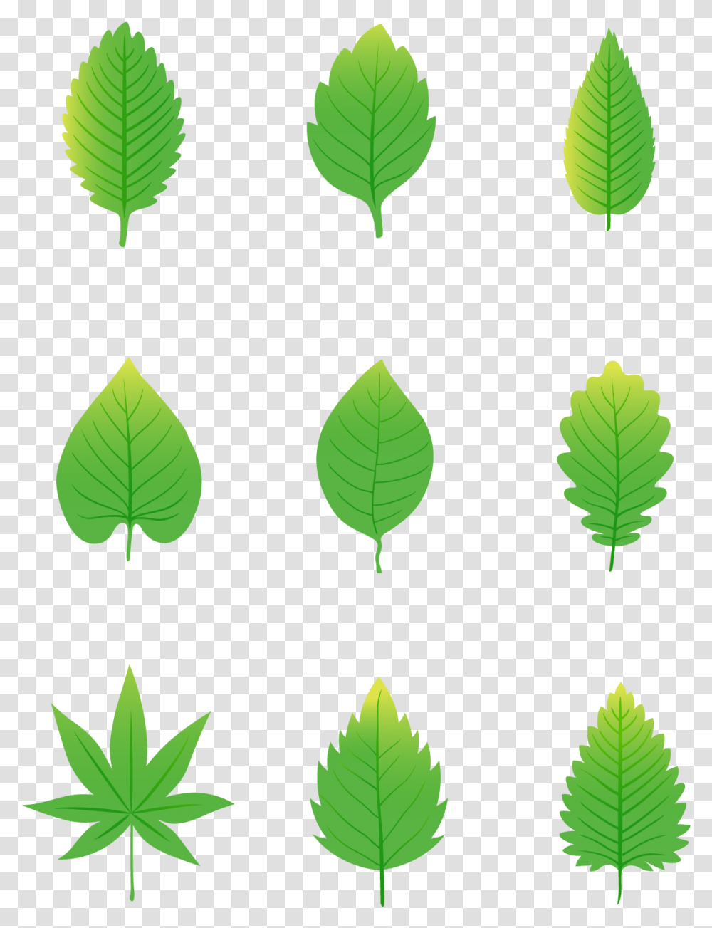 Simplicity Cartoon Green Leaves Elements And Vector Clip Art, Leaf, Plant, Vegetation, Tree Transparent Png