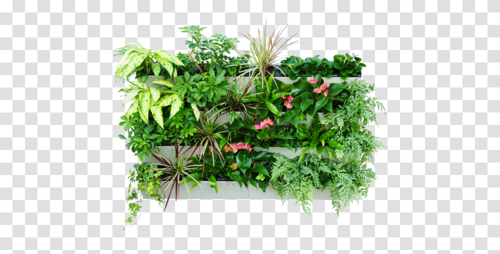 Simply Farm Modular Vertical Garden Hydrofalls Vertical Garden Plants, Potted Plant, Vase, Jar, Pottery Transparent Png